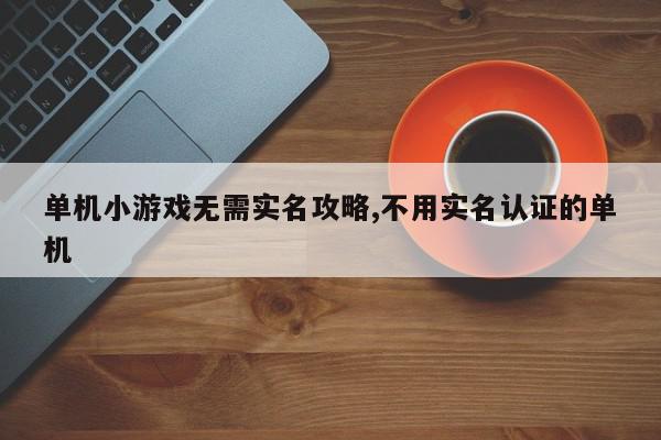 单机小游戏无需实名攻略,不用实名认证的单机